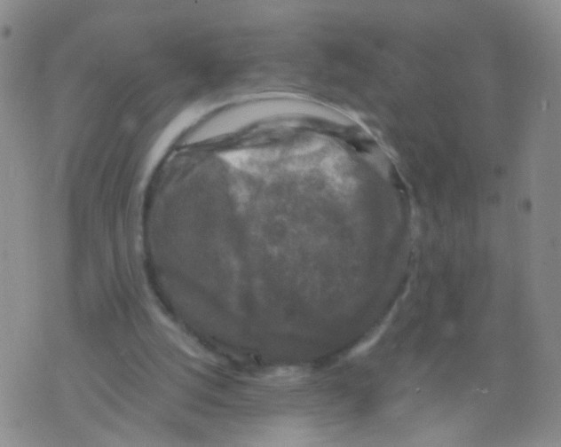 X0000075920056200610151917