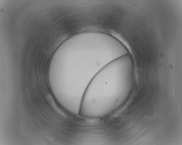 X0000075920057200610151917