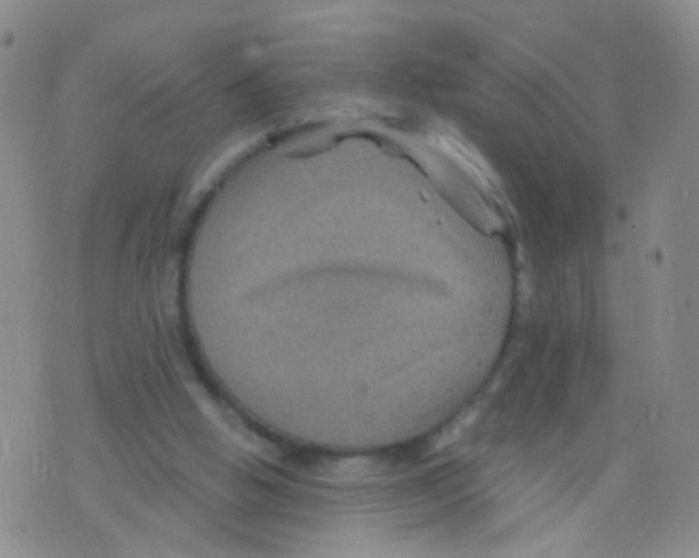 X0000075920058200610151917