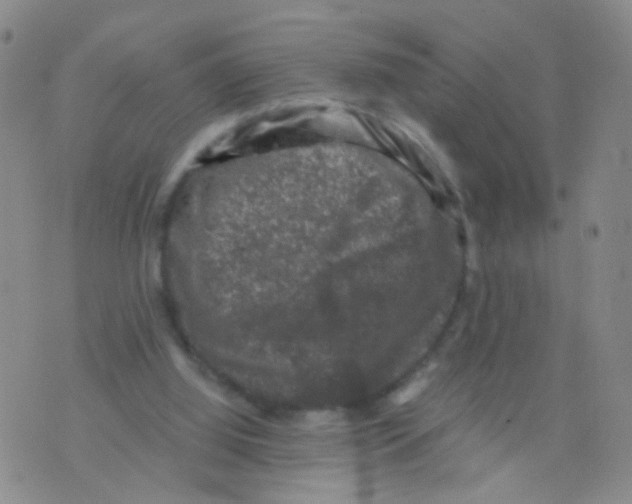 X0000075920060200610151917