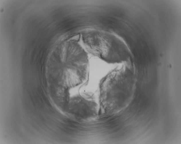 X0000075920061200610151917