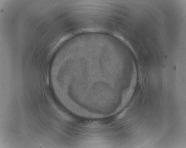 X0000075920062200610151917