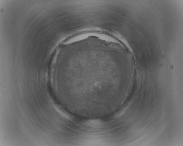 X0000075920063200610151917