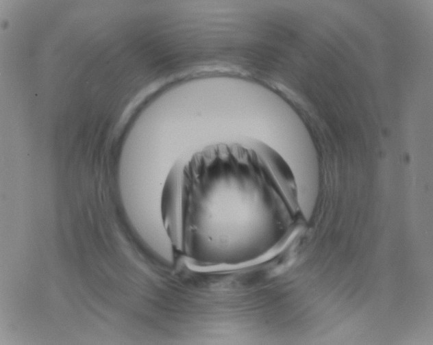 X0000075920064200610151917