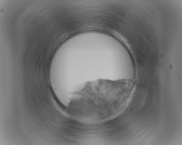 X0000075920065200610151917