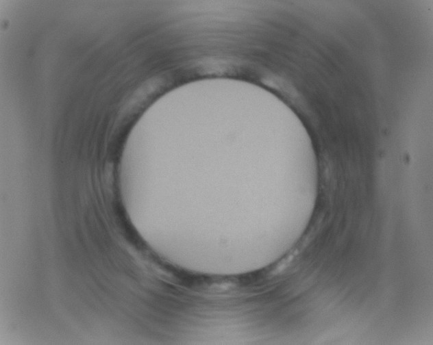 X0000075920066200610151917