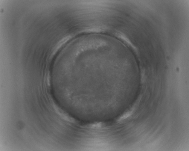 X0000075920068200610151917