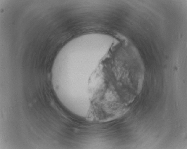 X0000075920069200610151917