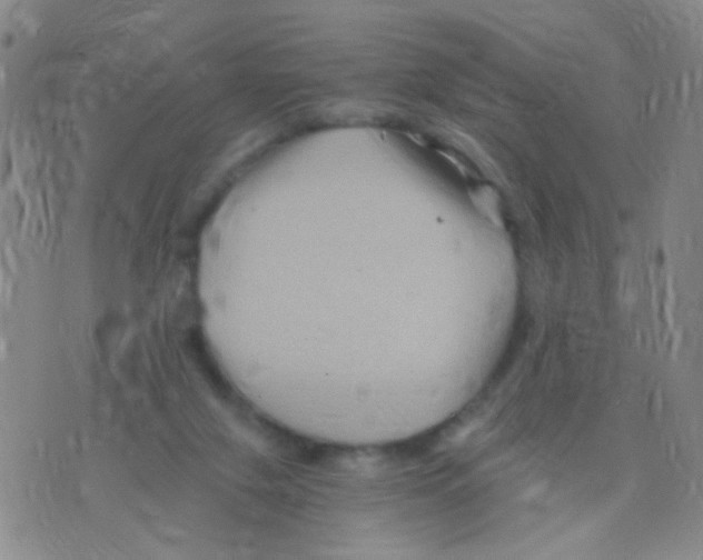 X0000075920071200610151917