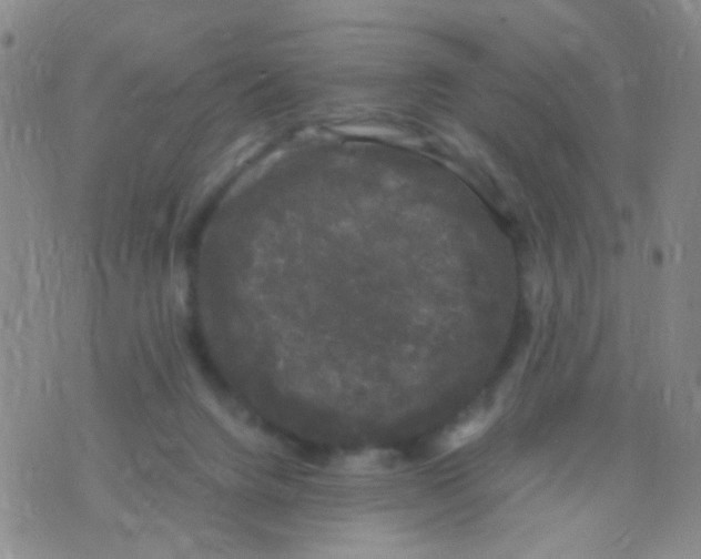 X0000075920072200610151917