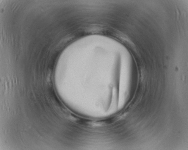 X0000075920073200610151917