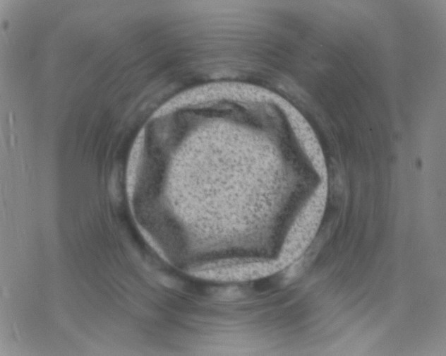 X0000075920074200610151917