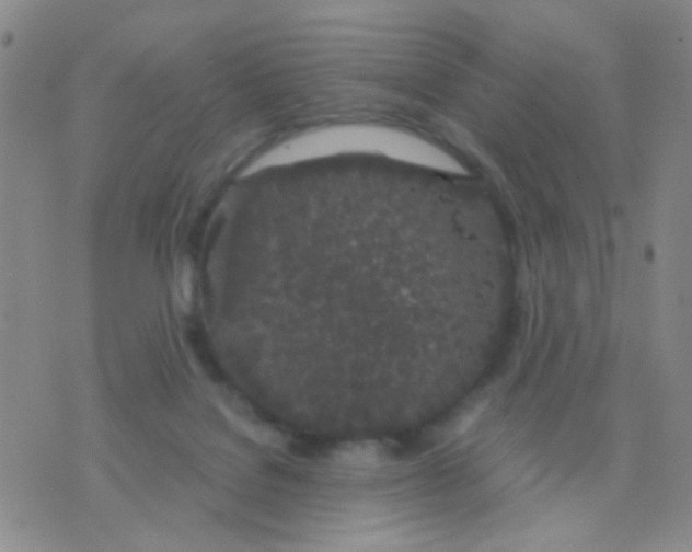 X0000075920076200610151917