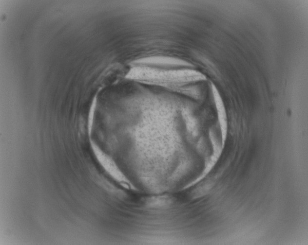 X0000075920077200610151917