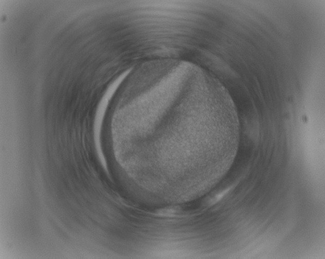 X0000075920080200610151917