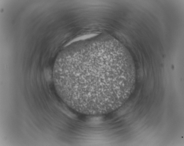 X0000075920081200610151917