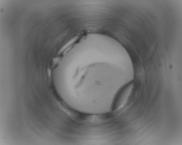 X0000075920082200610151917