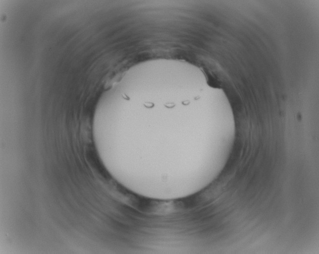 X0000075920083200610151917