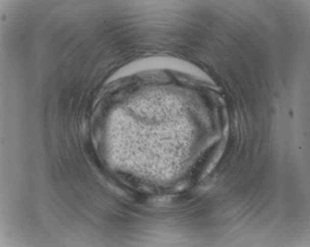 X0000075920084200610151917