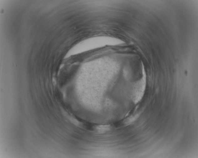 X0000075920085200610151917