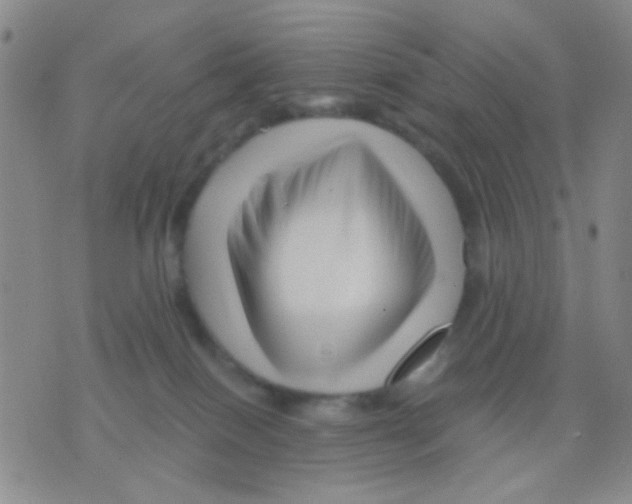 X0000075920086200610151917