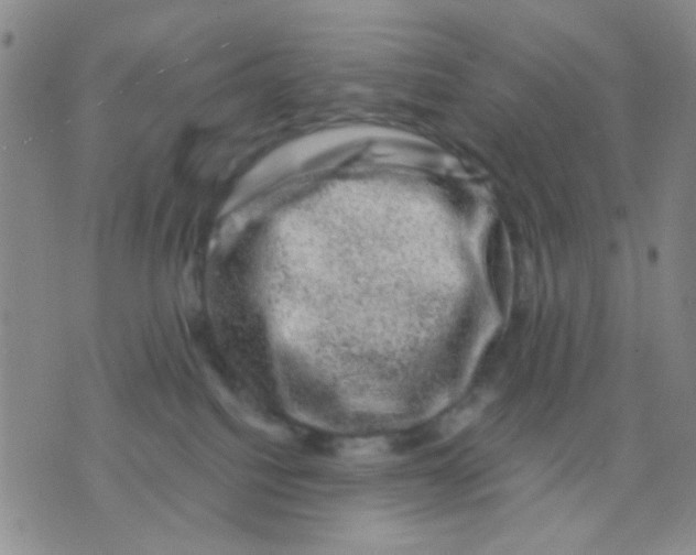 X0000075920088200610151917