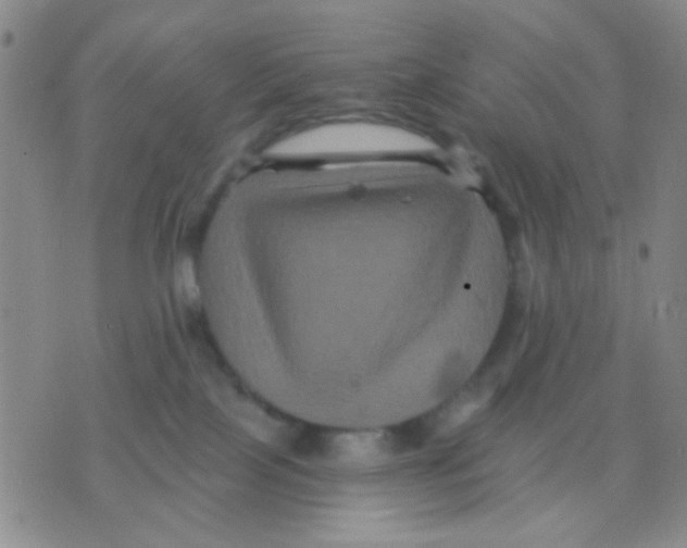 X0000075920089200610151917