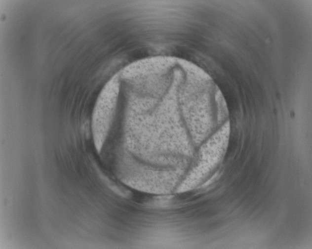 X0000075920090200610151917