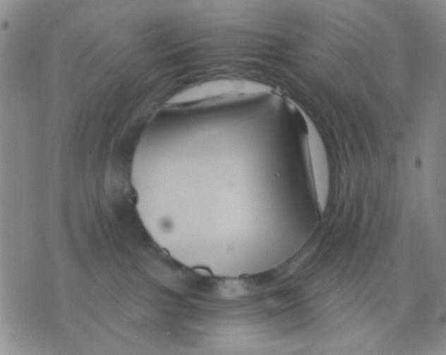 X0000075920091200610151917