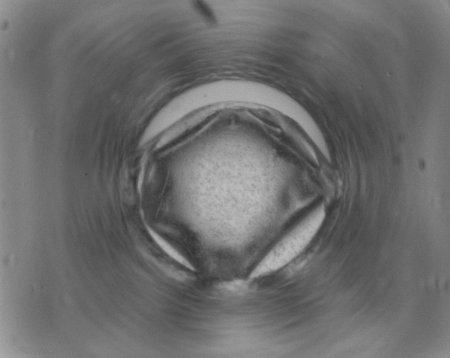 X0000075920092200610151917