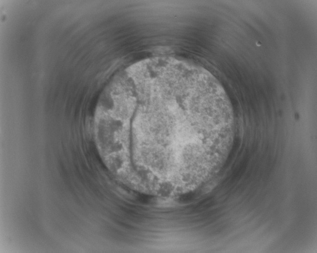 X0000075920093200610151917