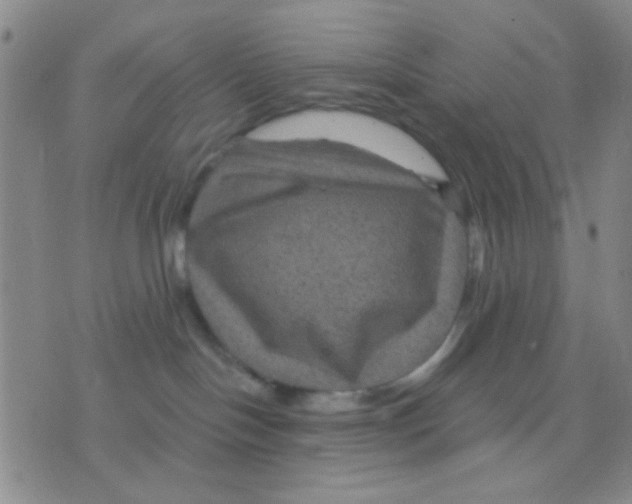 X0000075920094200610151917