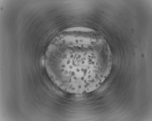 X0000075920095200610151917