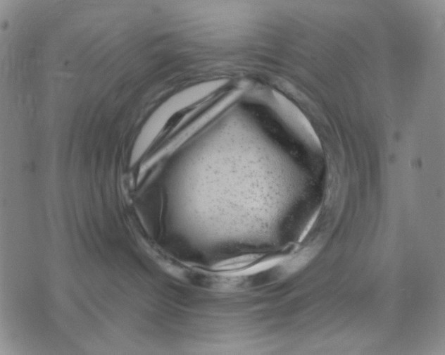 X0000075920096200610151917