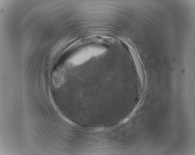 X0000075920097200610151916