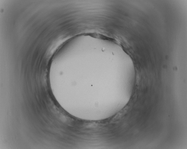 X0000075920098200610151916