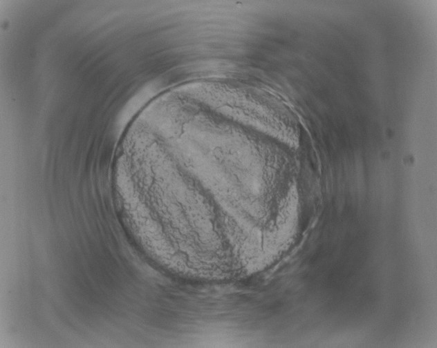 X0000075920099200610151916