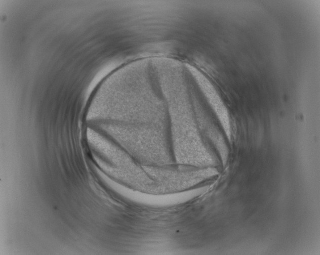 X0000075920100200610151916