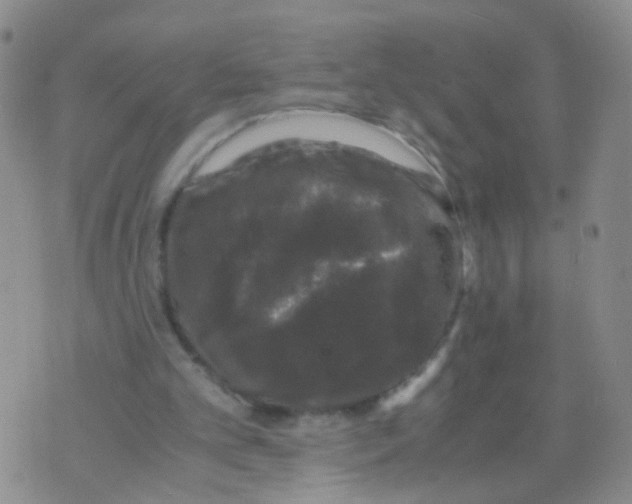 X0000075920101200610151916