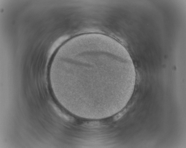 X0000075920104200610151916