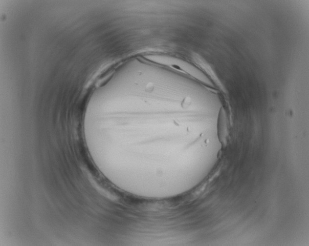 X0000075920106200610151916