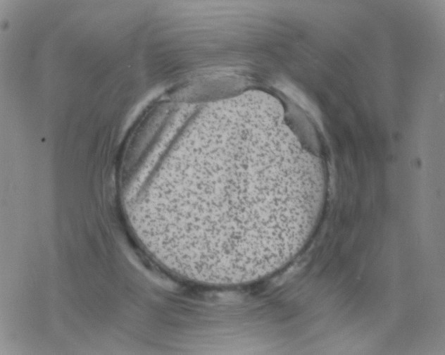 X0000075920107200610151916