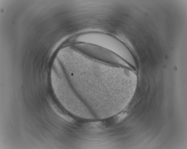 X0000075920108200610151916