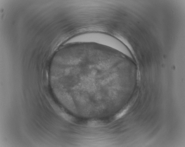 X0000075920109200610151916