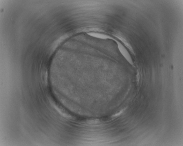 X0000075920110200610151916