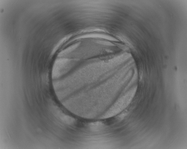 X0000075920112200610151916