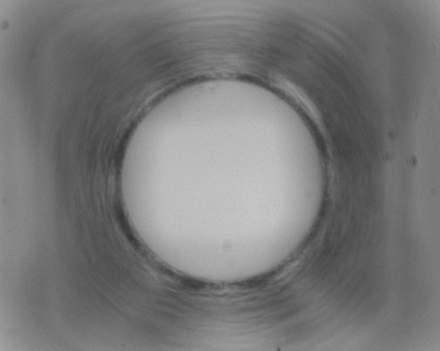 X0000075920113200610151916