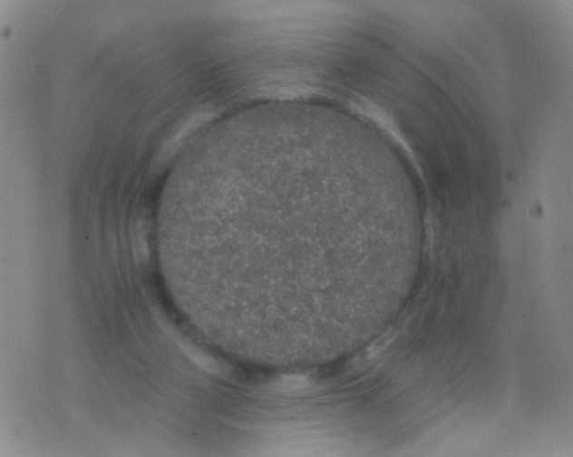 X0000075920114200610151916