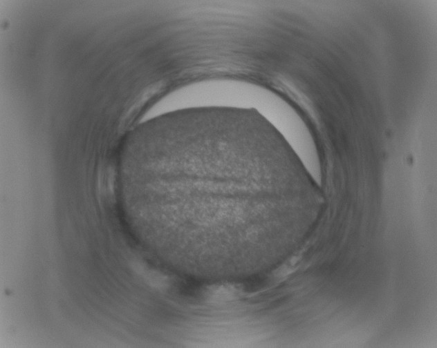 X0000075920115200610151916