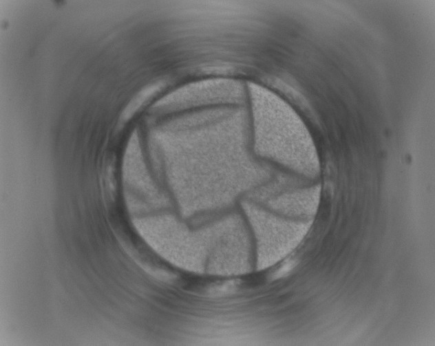 X0000075920116200610151916